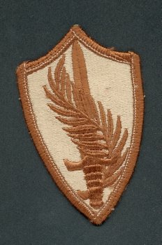 Central Army Cmd DCU Desert Uniform patch Abzeichen