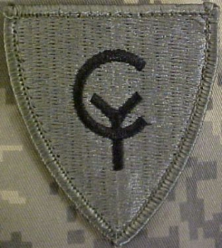 38th Infantry Division ACU Patch foliage green