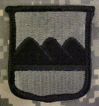 80th Training Division ACU Patch foliage green