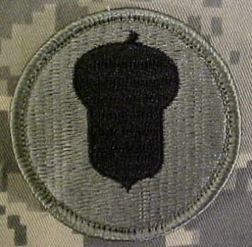 87th Infantry Division "Golden Acorn" UCP ACU Patch - Foliage Green