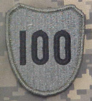 100th Infantry Division ACU Patch foliage green