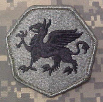 108th Training Command UCP ACU Patch - Foliage Green