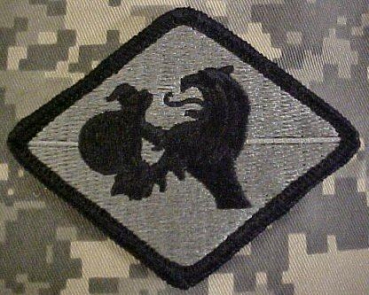 266th Finance Center ACU Patch - Foliage Green