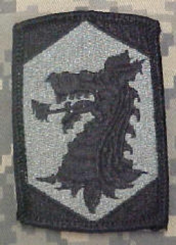 404th Chemical Brigade ACU Patch - Foliage Green