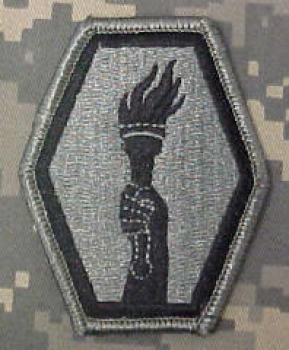 442nd Infantry RCT ACU Patch - Foliage Green