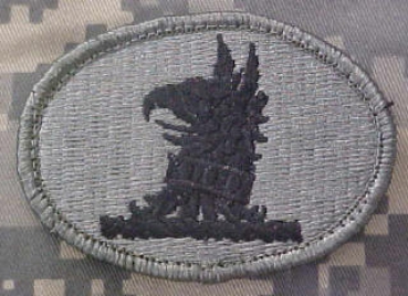 Delaware National Guard ACU Patch - Foliage Green