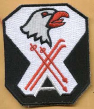 101st Mountain Division patch