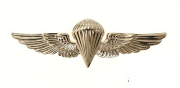 U.S.N. / U.S.M.C. PARAWING PIN