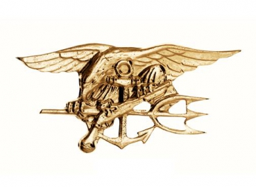 US NAVY SEALS PIN