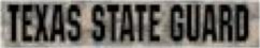 TEXAS STATE GUARD ACU BRANCH TAPE