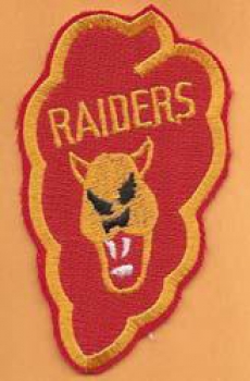 25th Infantry Division RAIDERS