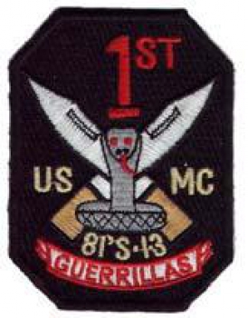 1st USMC RECON BN GUERRILLAS