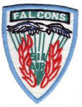 511th Airborne Infantry FALCONS
