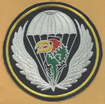 7th Airborne Corps LRRP