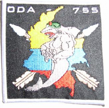 ODA 755 Special Forces