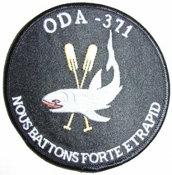 ODA 371 Special Forces