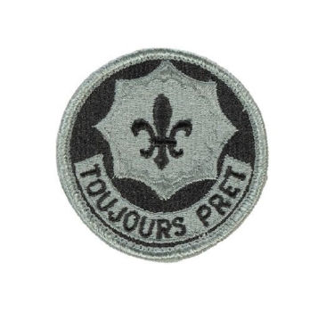 2nd ACR Armored Cavalry Regiment UCP ACU Patch - Foliage Green