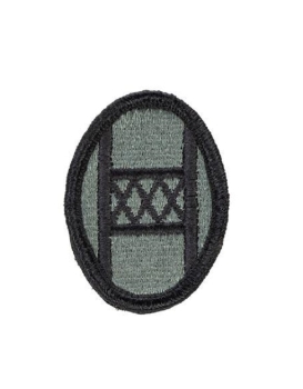 30th Infantry Division " Old Hickory " UCP ACU Patch - Foliage Green