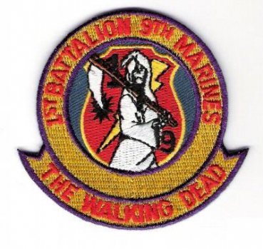 1st BATTALION 9th MARINES US MARINE CORPS USMC patch