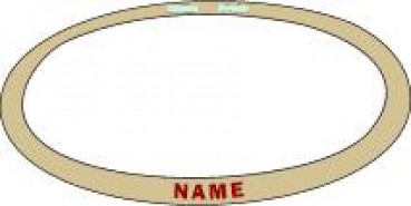 US Army Cat Eye HELM BAND - Desert tan mit Nickname