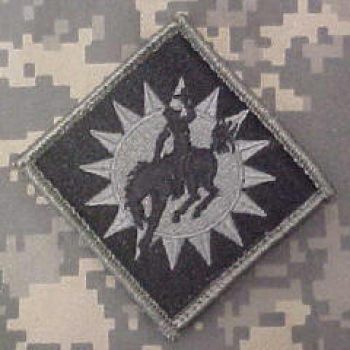 115th Field Artillery Brigade ACU patch