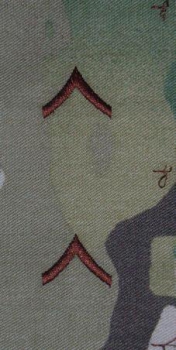 PRIVATE MultiCam&#8482; Sew On Abzeichen