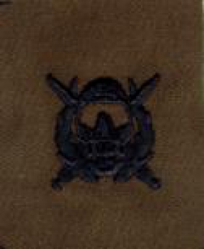US Army SPECIAL OPERATIONS DIVER SEW-ON INSIGNIA