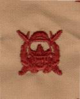 US Army SPECIAL OPERATIONS DIVER SEW-ON INSIGNIA Desert tan