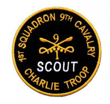 1st Squadron 9th Cavalry Regiment Patch Abzeichen