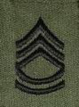 US Army GORETEX JACKE Slip On RANK subdued