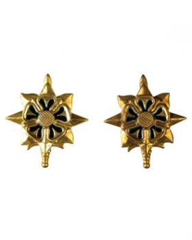 Military Intelligence Officier Insignia