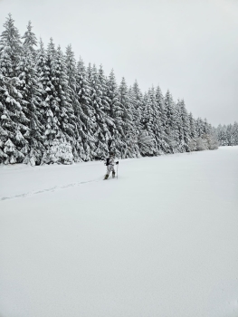 TACGEAR Einsatzhose Spezialkräfte Schneetarn