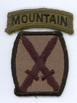 10th Mountain Division US Army BDU Abzeichen patch