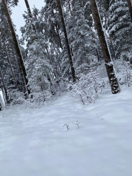 TACGEAR Smock Version II Schneetarn