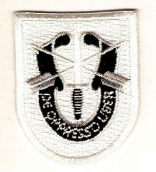 Training SF Group SFG Patch Flash