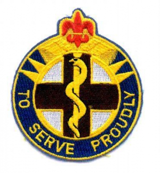 176th Medical Battalion Army SanitÃ¤ter Abzeichen