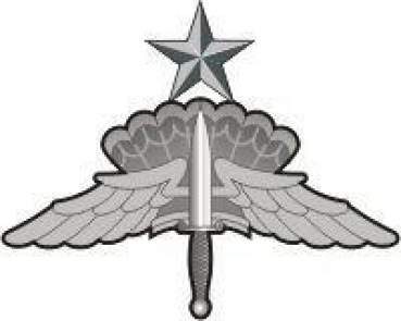 HALO Senior Badge Patch Uniform Abzeichen