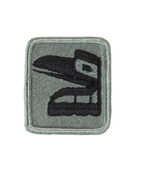 81st Stryker Brigade Combat Team UCP ACU Patch - Foliage Green
