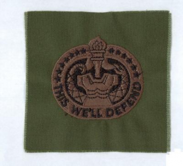 US Army DI Drill Instructor oliv patch BDU Abzeichen