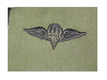 US Army RIGGER branch tap BDU Abzeichen patch