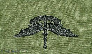 US ARMY HALO WING JUMP WINGS branch tap BDU Abzeichen patch