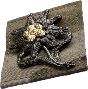 Preview: Bundeswehr BW EDELWEIß Gebirgsjäger Multicam Velcro Abzeichen