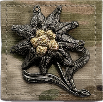 Bundeswehr BW EDELWEIß Gebirgsjäger Multicam Velcro Abzeichen