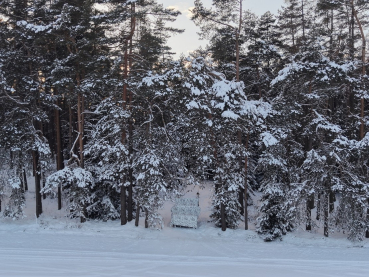 BW Mehrzweckplane Tarp Spezialkräfte mit IRR Beschichtung  280 x 300 cm M05 Snow