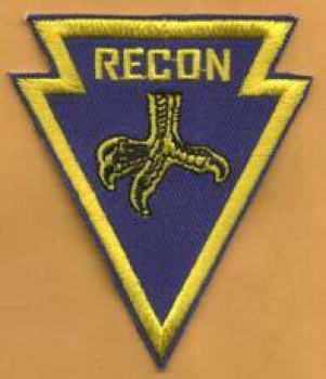 502nd Airborne Infantry Regiment RECON patch