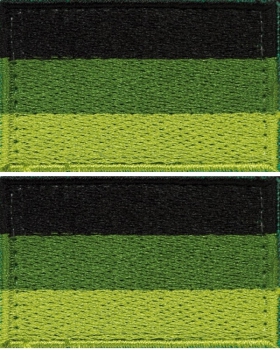 Bundeswehr BW 1 Paar Deutschland GERMAN Velcro Fahne oliv