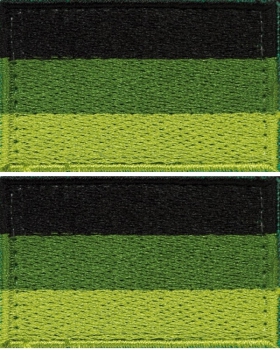 Bundeswehr BW 1 Paar Deutschland GERMAN Velcro Fahne oliv