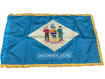 US Army ARNG Bundesstaat DELAWARE Paradeflagge