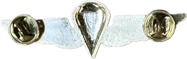 U.S.N. / U.S.M.C. PARAWING PIN