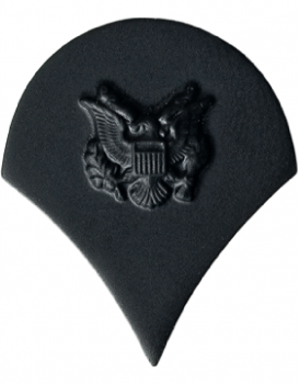 US Army Specialist Rank Insignia BDU Abzeichen subdued
